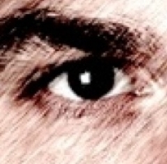 kencoens, Open minded :-) kencoens SkyPeepZ member